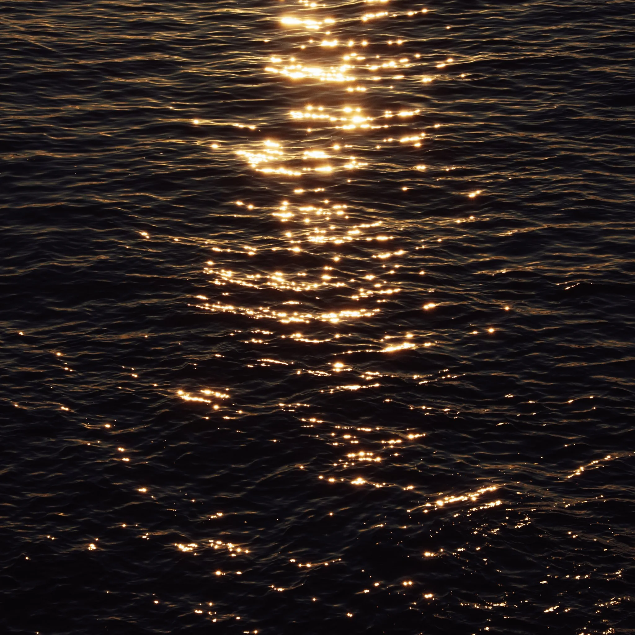2026.08_EastCoast_Lowres_@maxroux-51.jpg