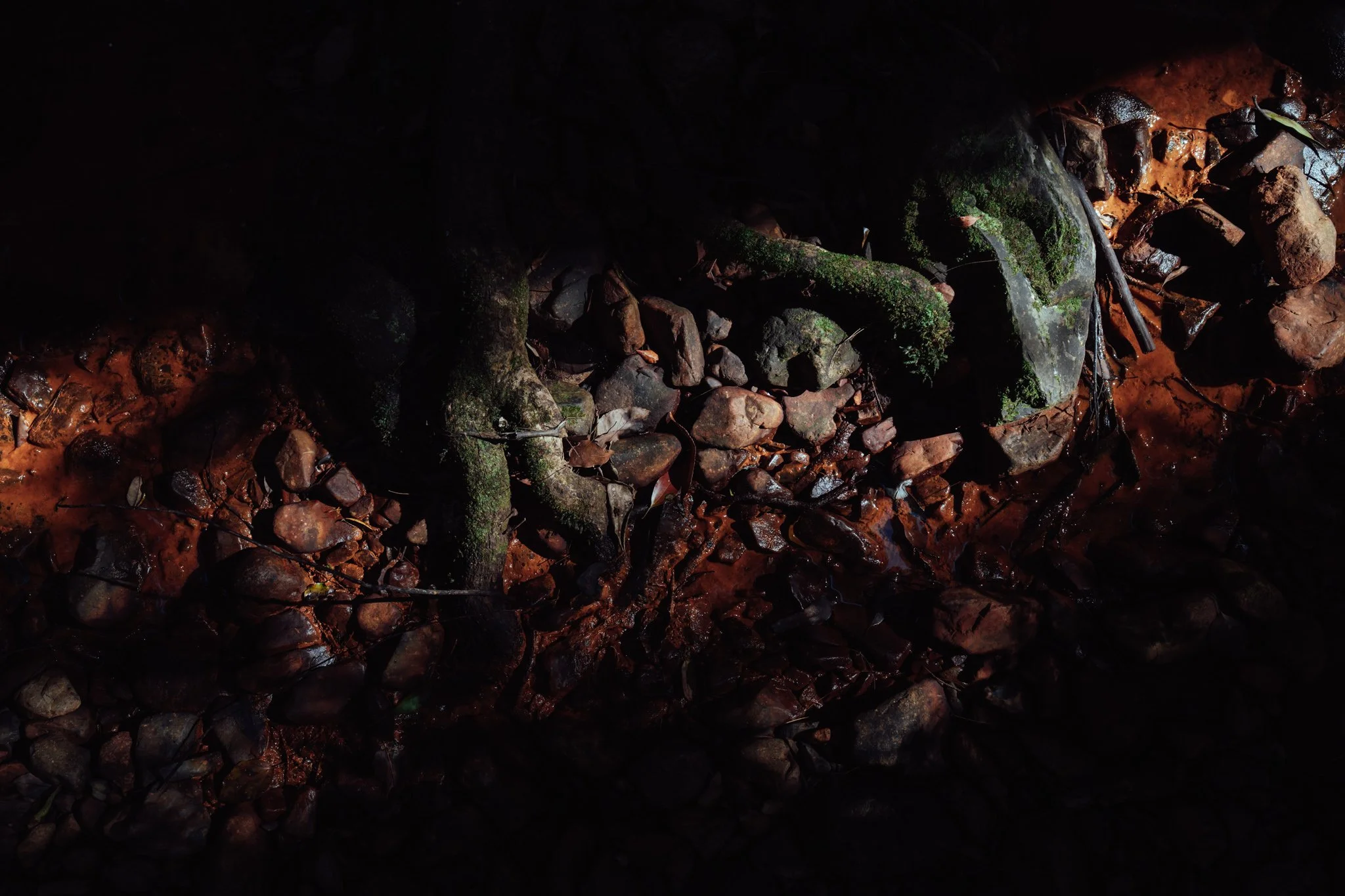 2026.08_EastCoast_Lowres_@maxroux-116.jpg