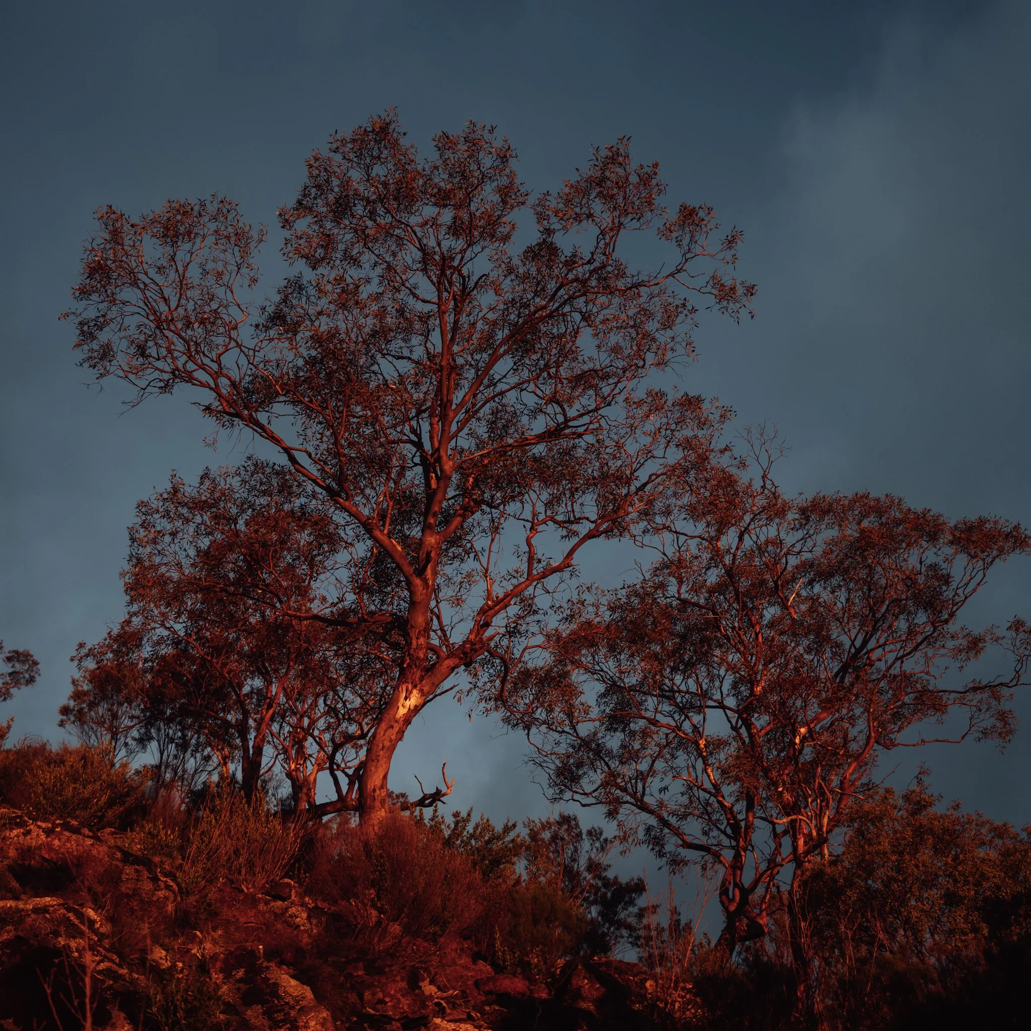 2026.08_EastCoast_Lowres_@maxroux-177.jpg