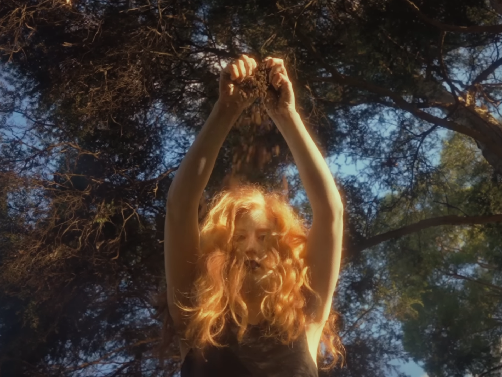 videoframe_202918.png