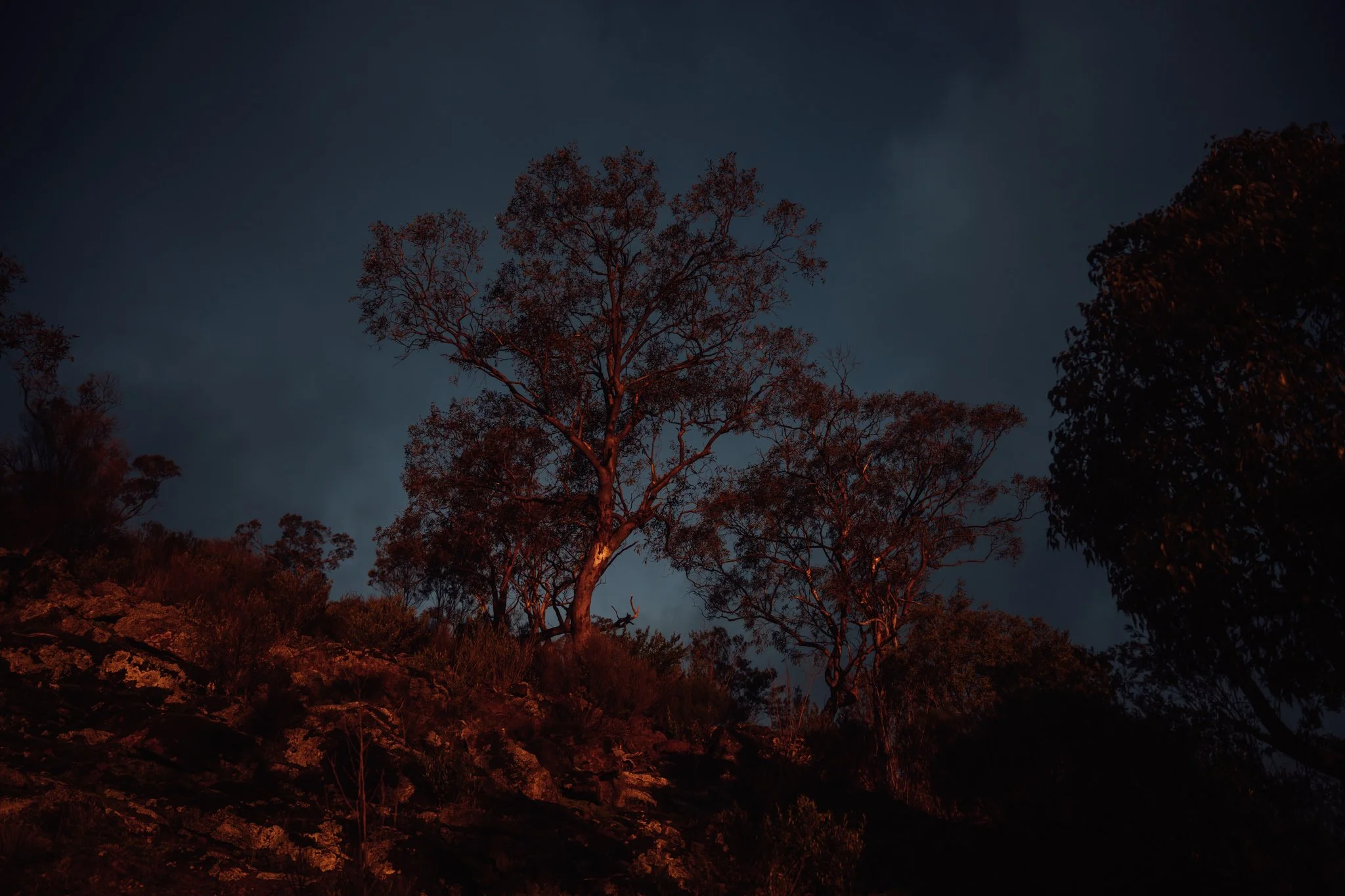 2026.08_EastCoast_Lowres_@maxroux-176.jpg