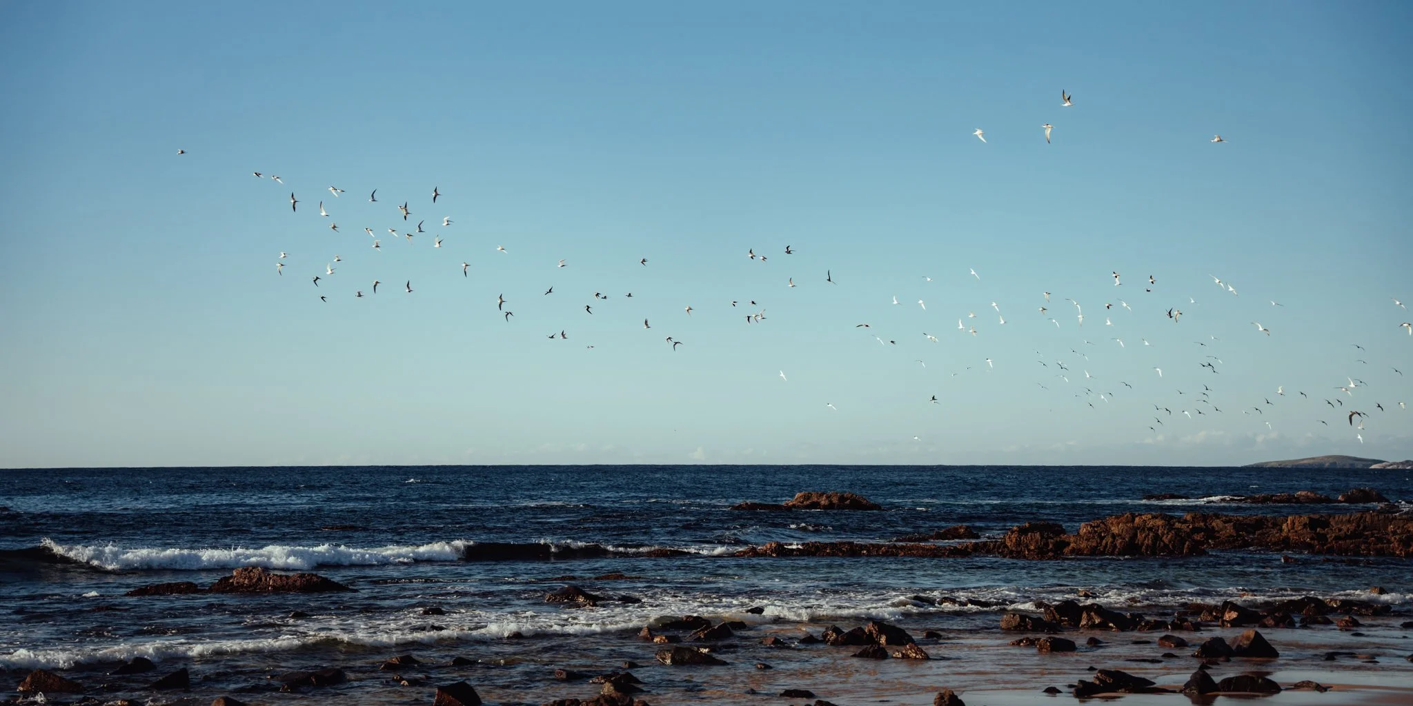 2026.08_EastCoast_Lowres_@maxroux-57.jpg