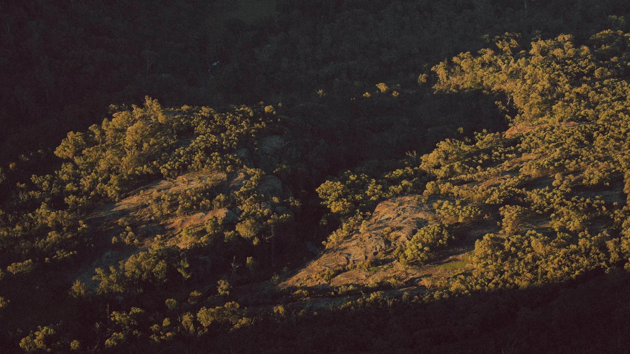 2026.08_EastCoast_Lowres_@maxroux-186.jpg