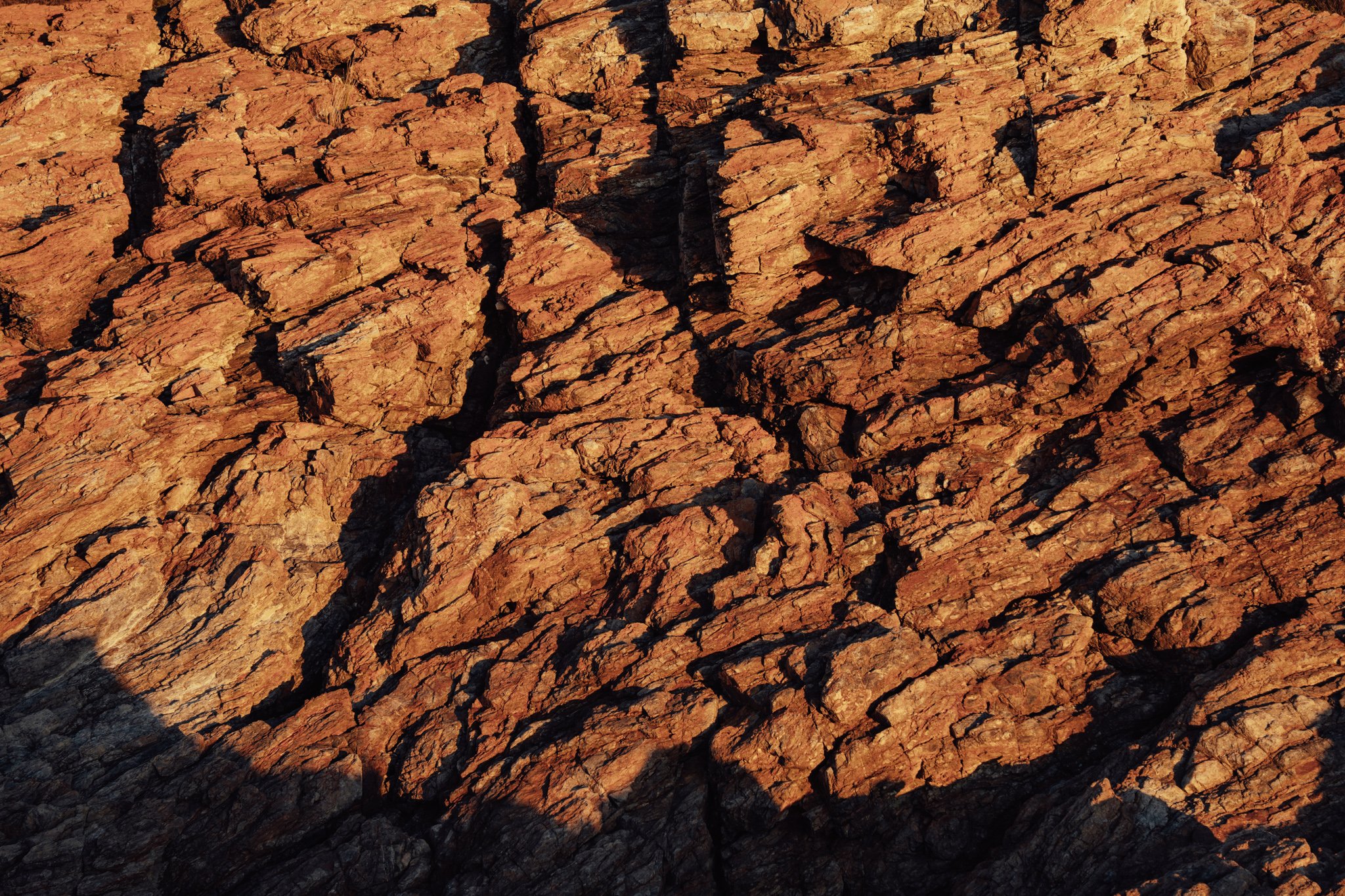 2026.08_EastCoast_Lowres_@maxroux-50.jpg