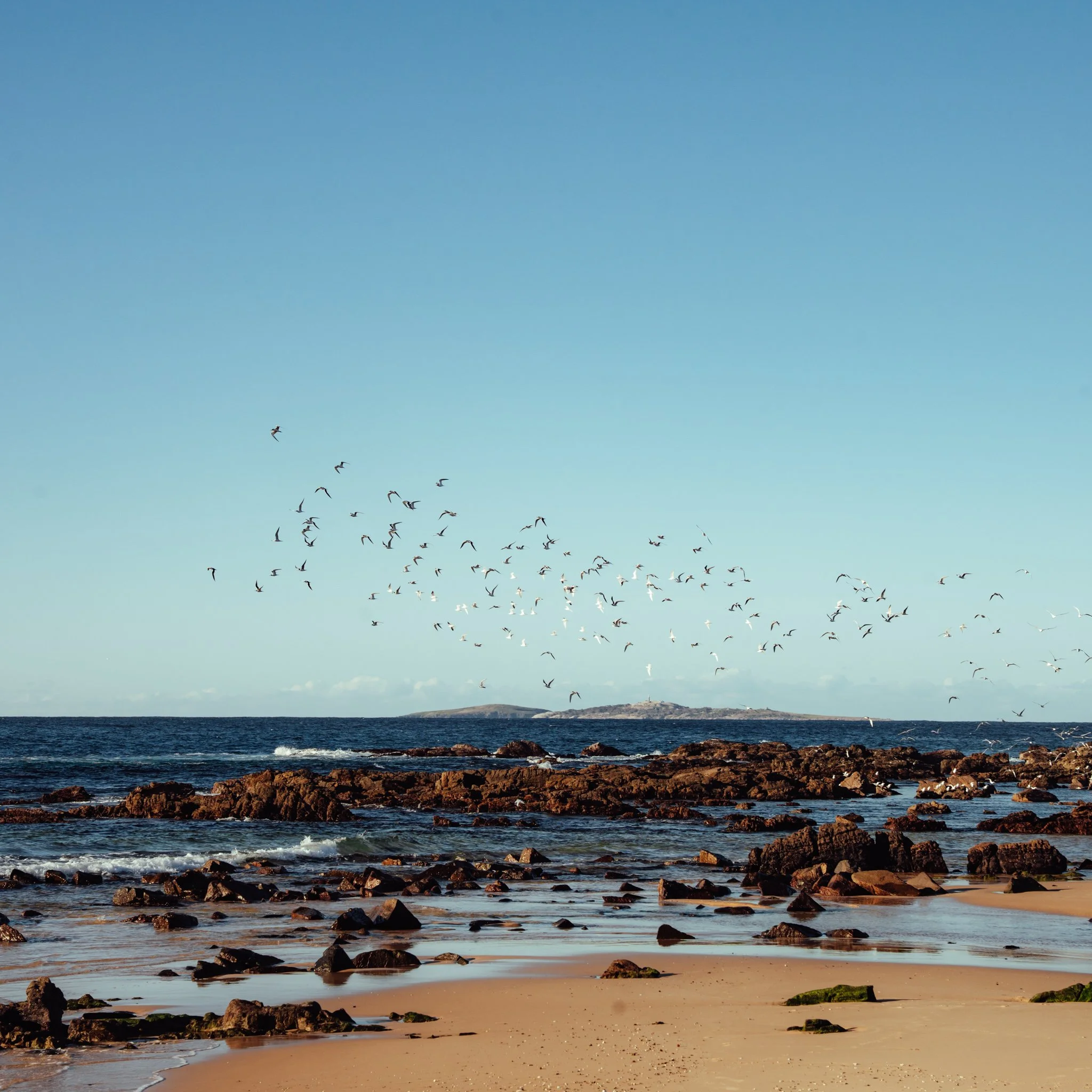 2026.08_EastCoast_Lowres_@maxroux-56.jpg