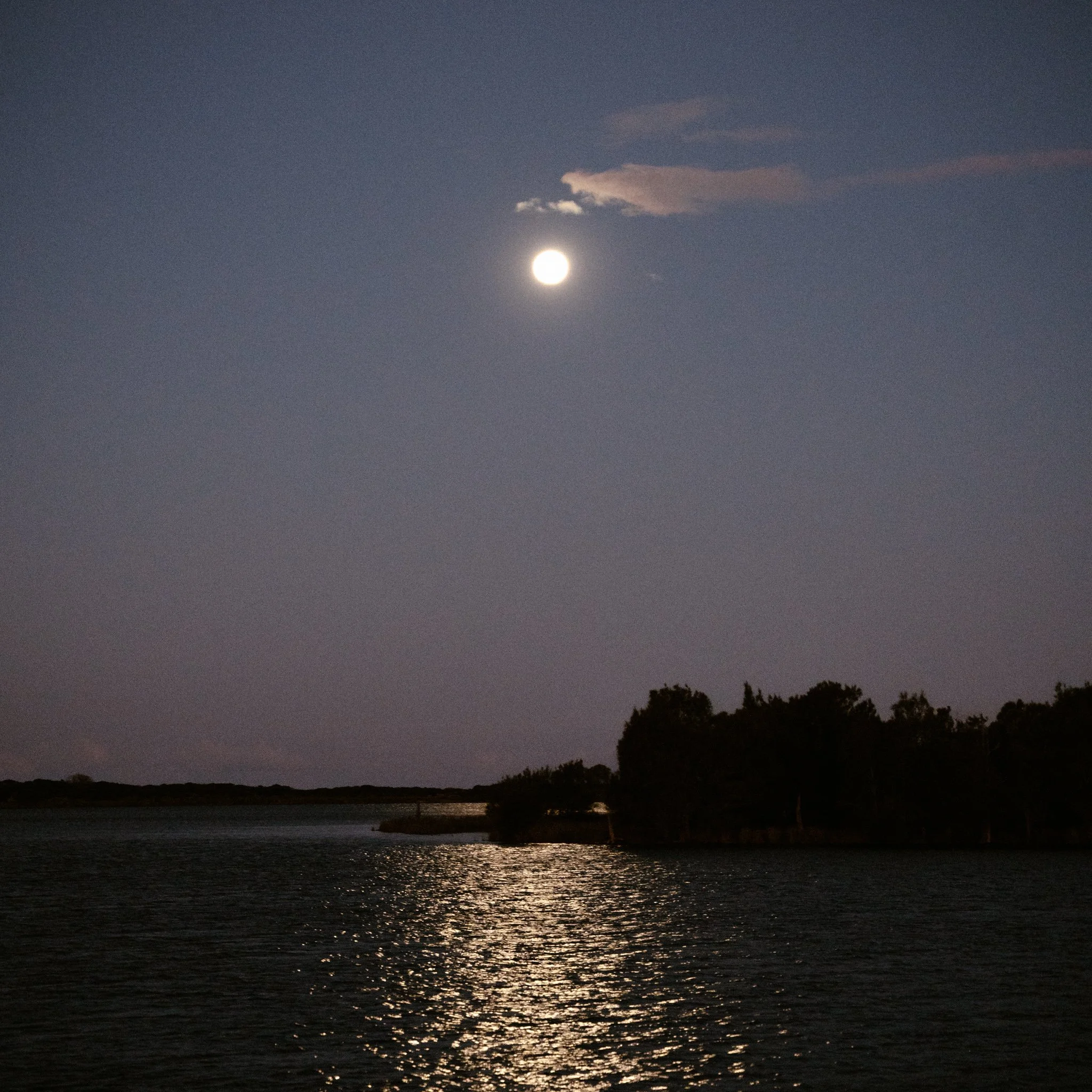 2026.08_EastCoast_Lowres_@maxroux-34.jpg