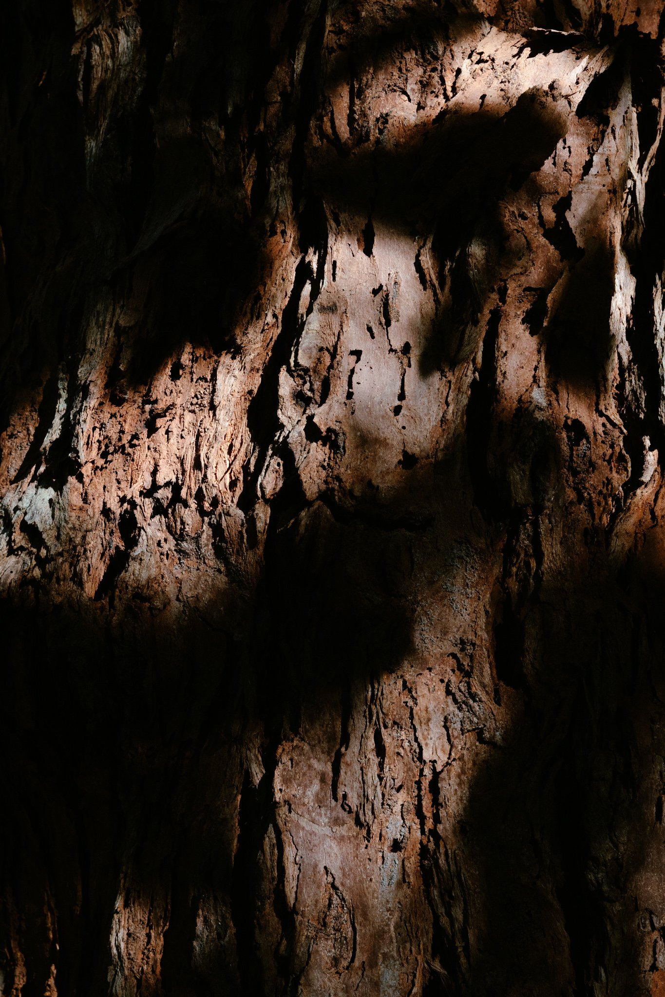 2026.08_EastCoast_Lowres_@maxroux-32.jpg