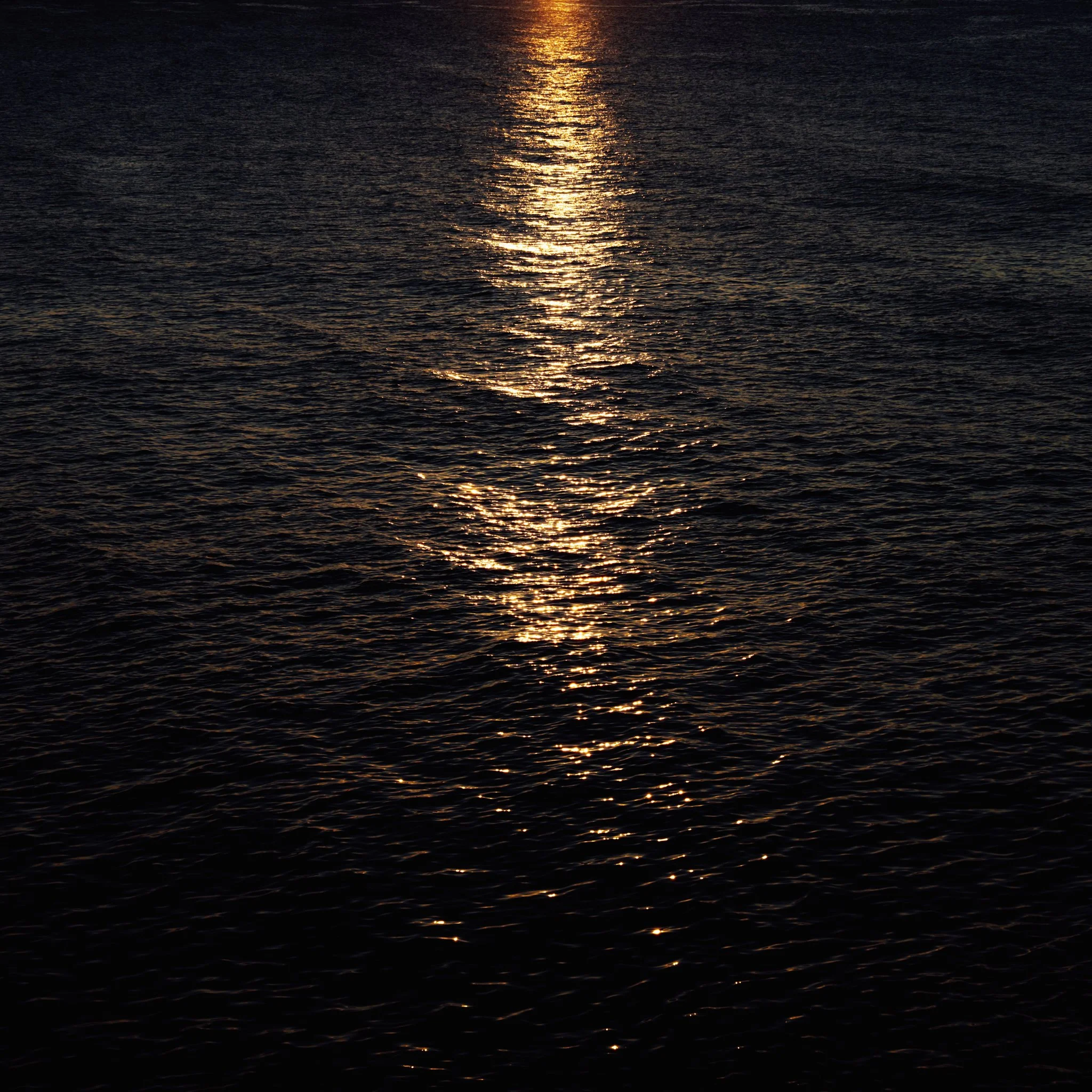 2026.08_EastCoast_Lowres_@maxroux-43.jpg