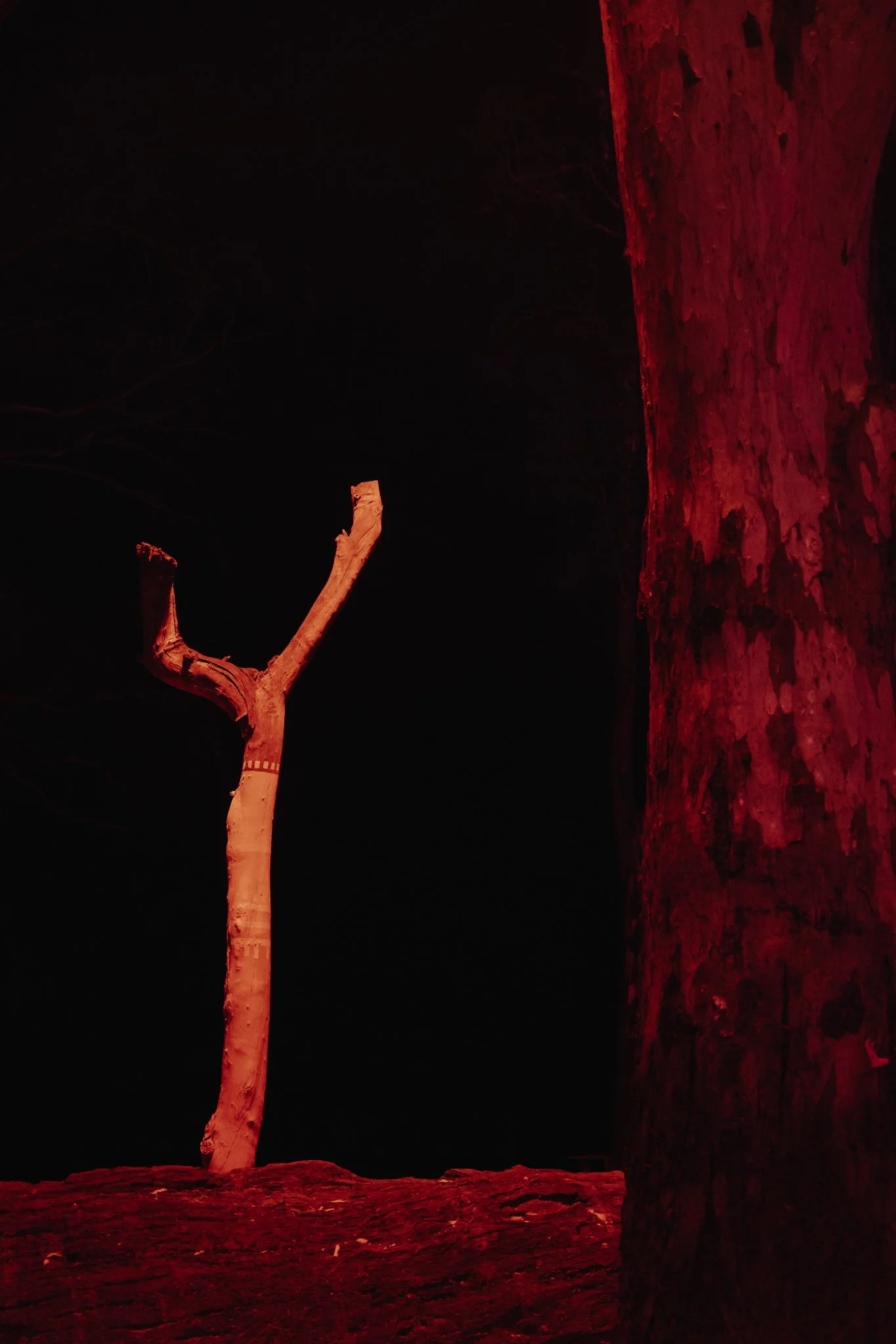 THURSDAY_SF23_LOWRES_@MAXROUX-43.jpg