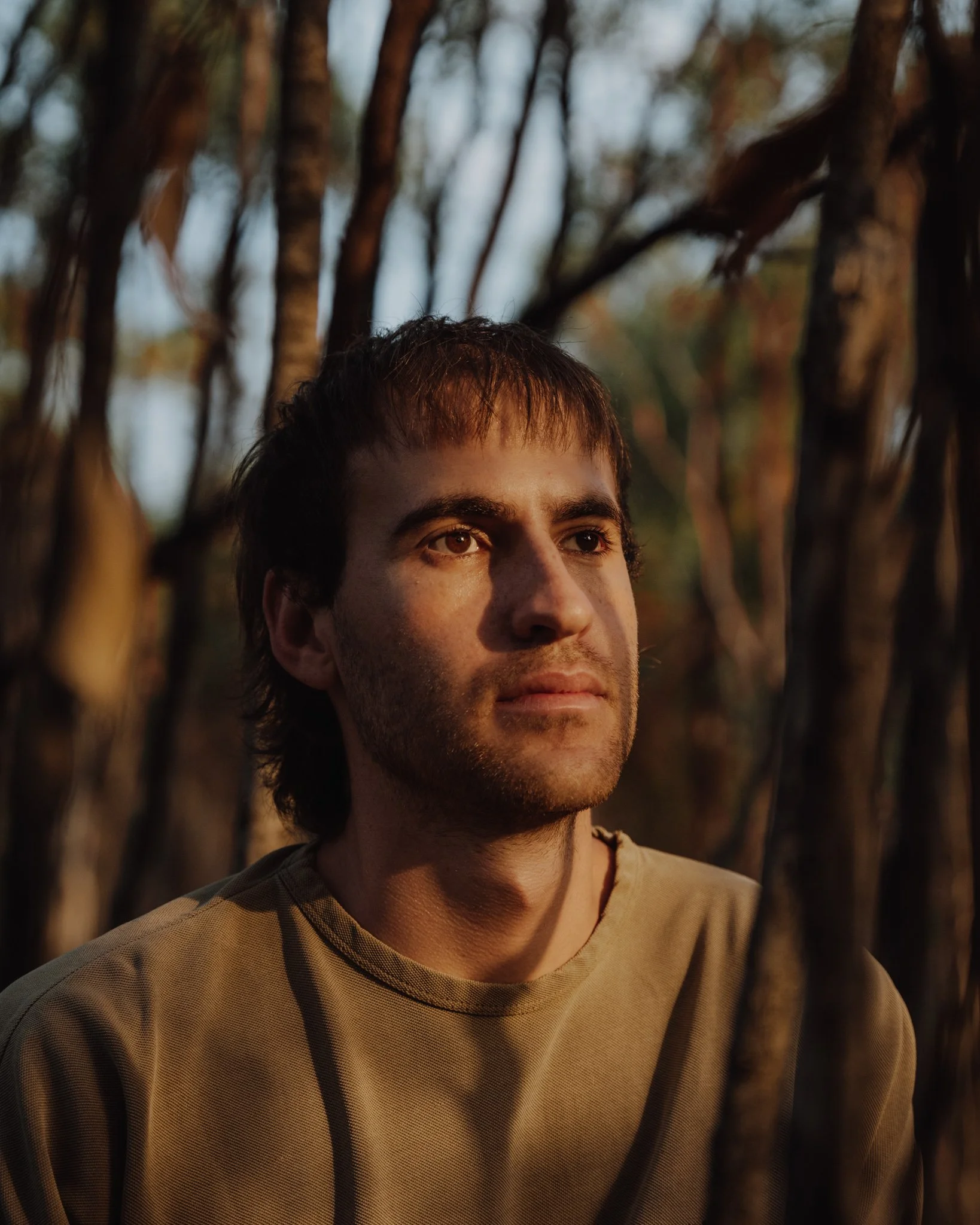 A young man with brown hair and light skin gazes thoughtfully amidst trees at sunset.