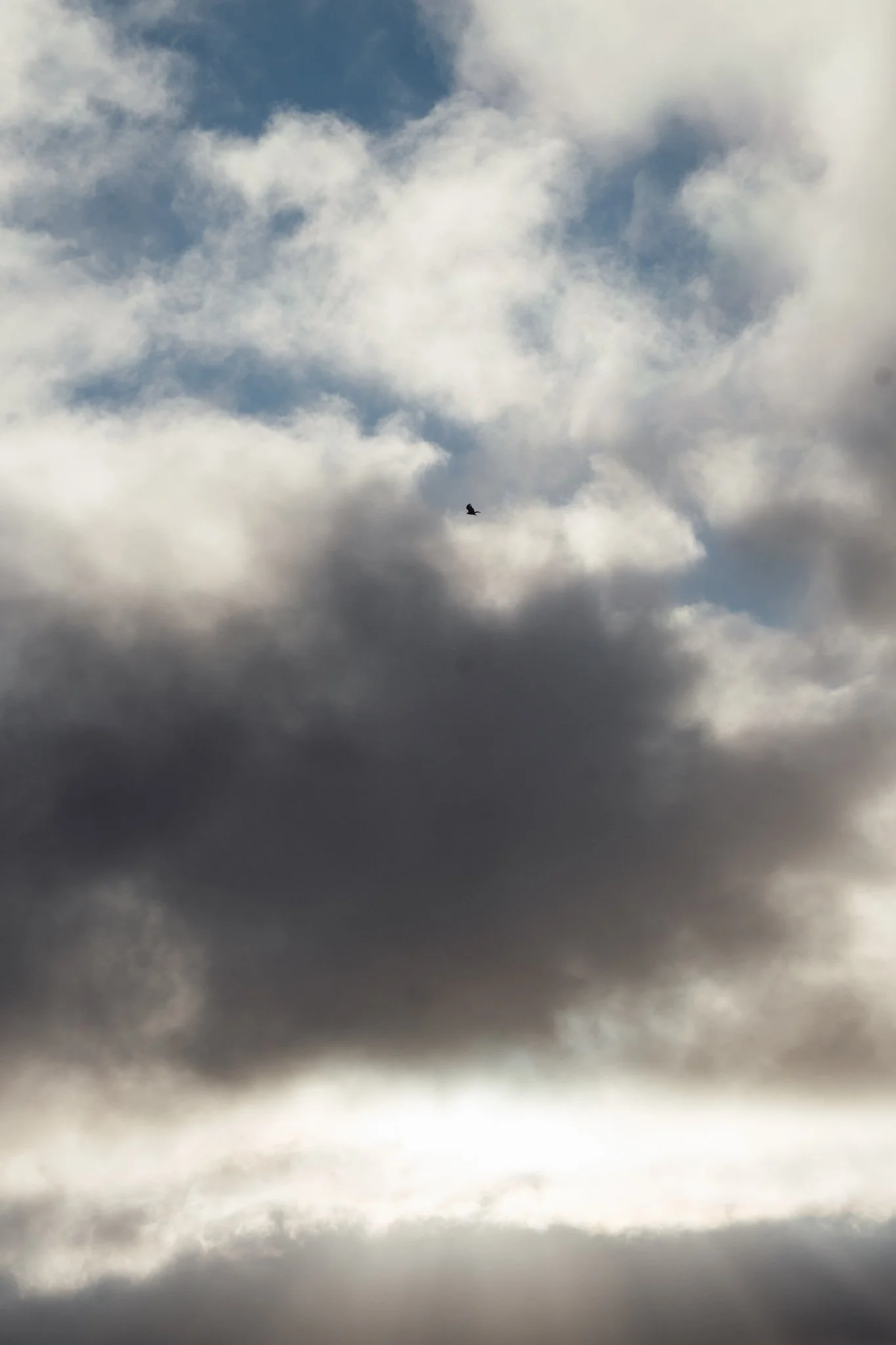 2026.08_EastCoast_Lowres_@maxroux-166.jpg