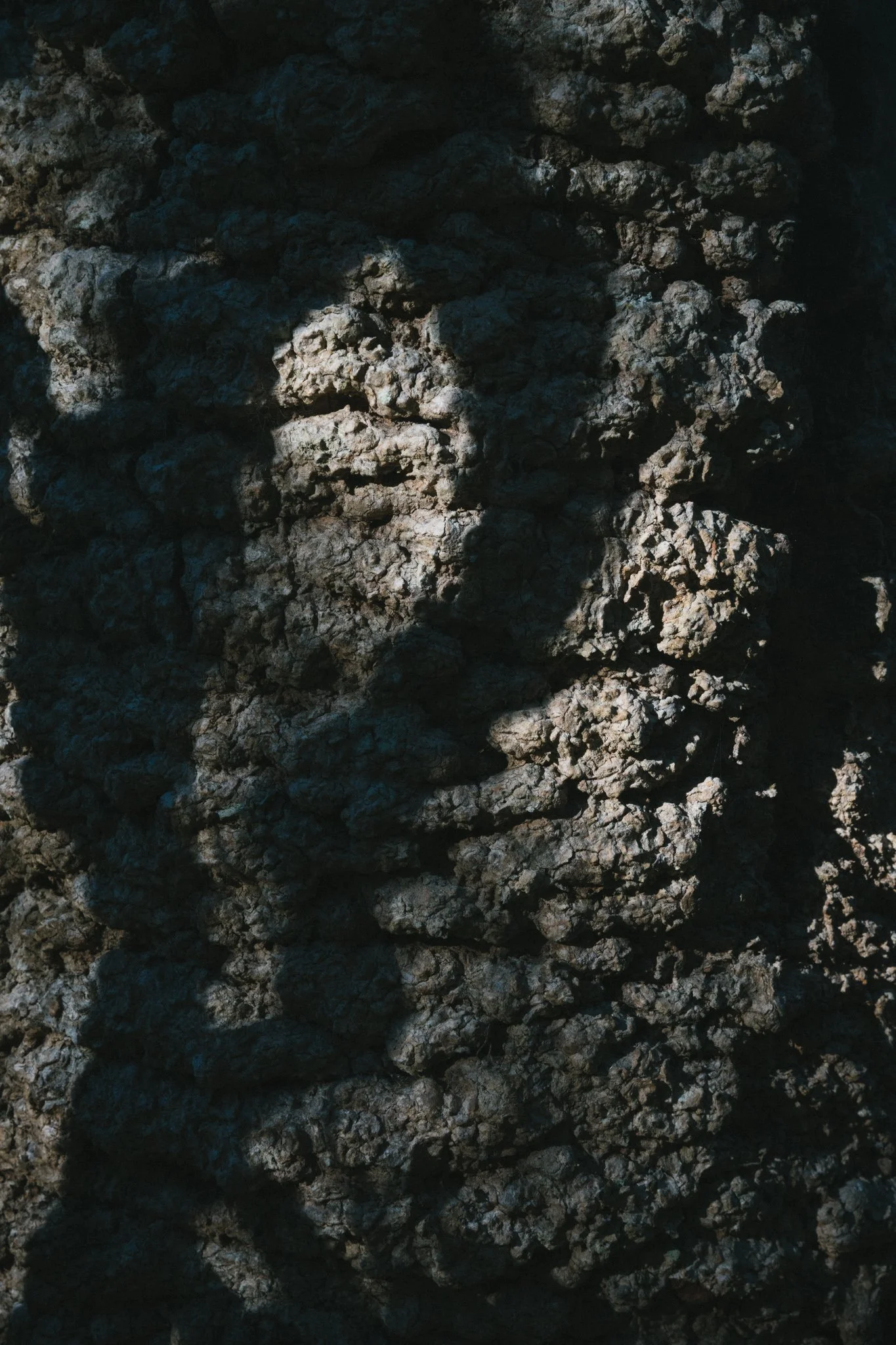 2026.08_EastCoast_Lowres_@maxroux-24.jpg