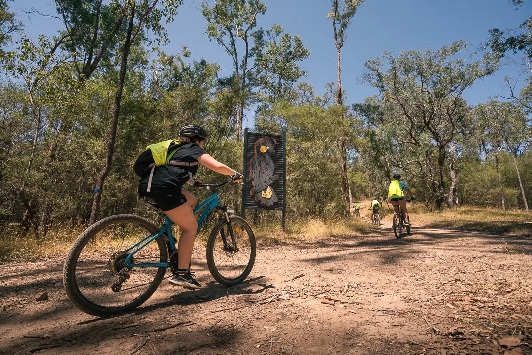 Cyclists riding on a dirt trail through a wooded area with trees and dry grass, under a clear blue sky.
