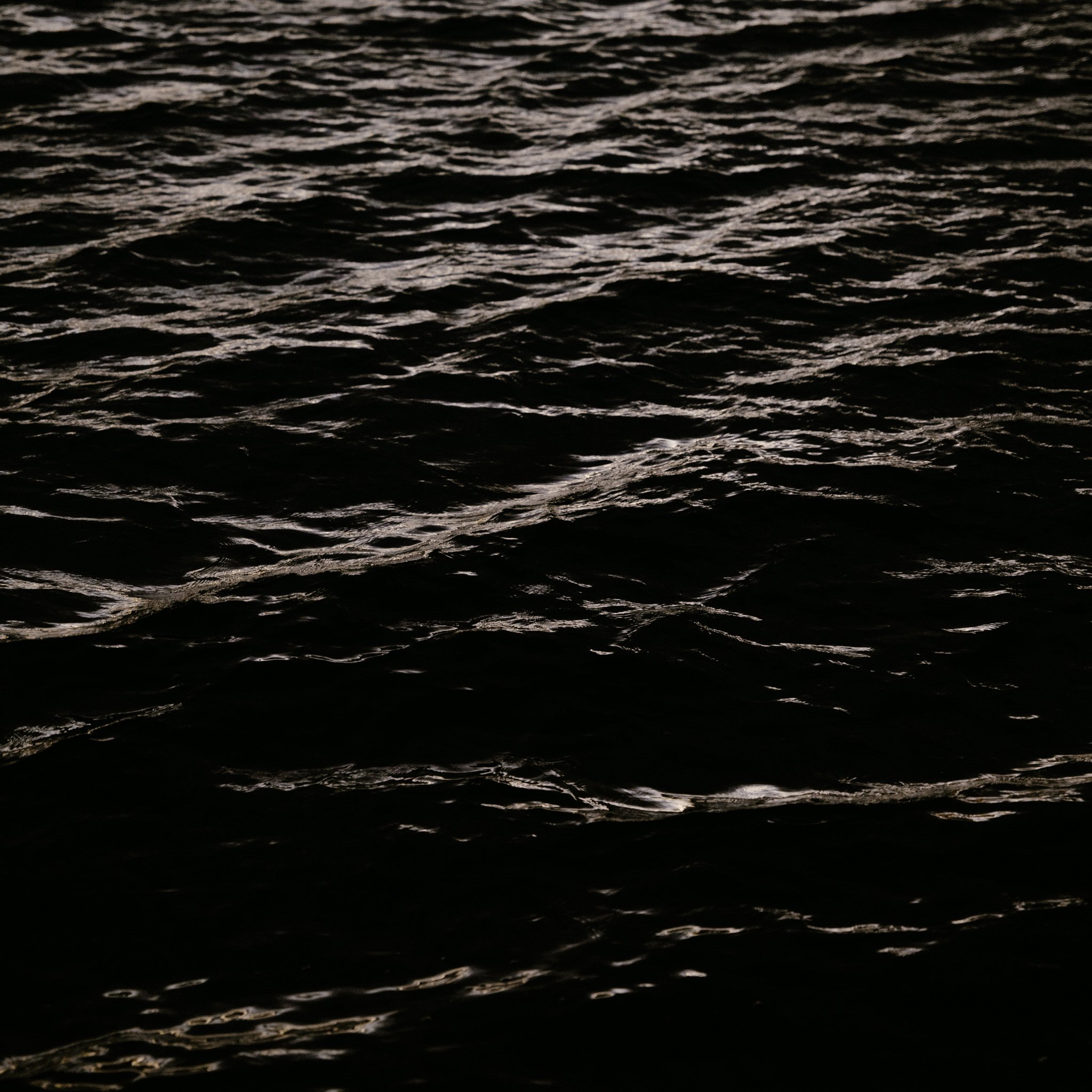 2026.08_EastCoast_Lowres_@maxroux-33.jpg
