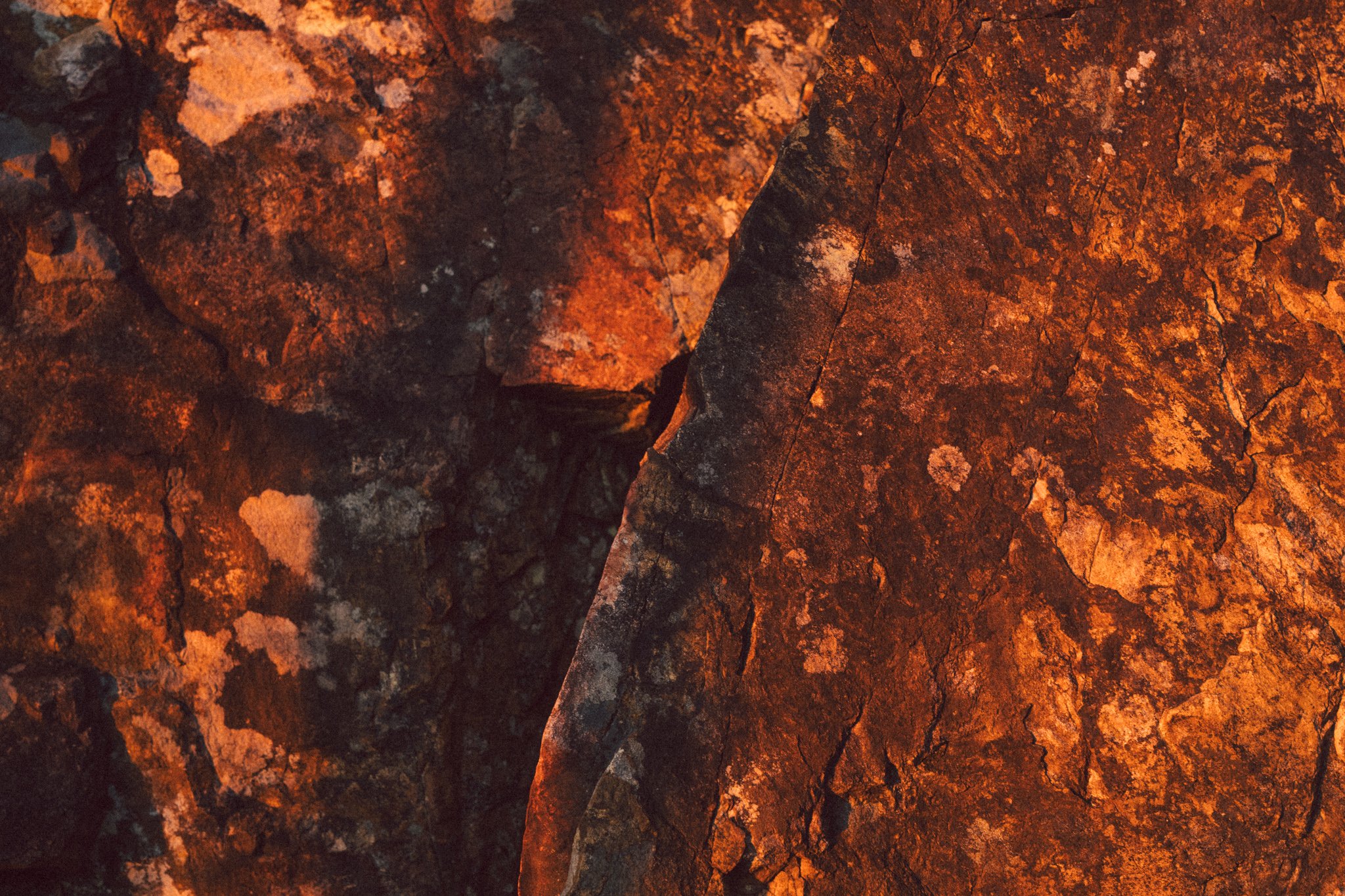 2026.08_EastCoast_Lowres_@maxroux-205.jpg