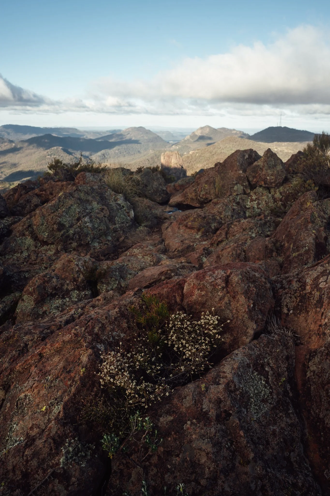 2026.08_EastCoast_Lowres_@maxroux-153.jpg