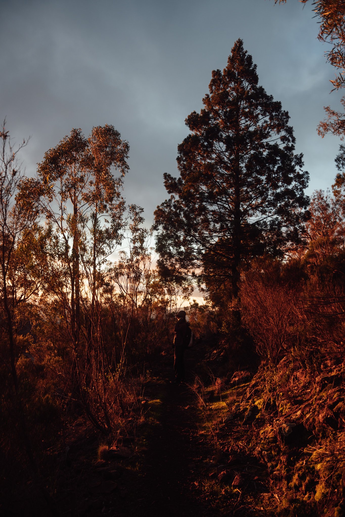 2026.08_EastCoast_Lowres_@maxroux-174.jpg