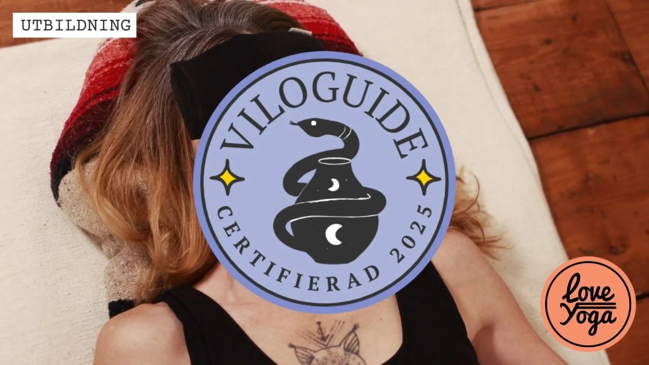 Vilans Medicin (utbildning)