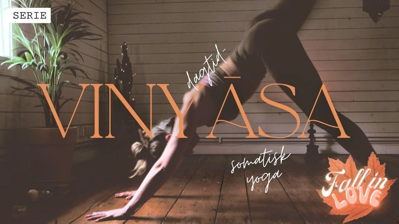 Vinyasa