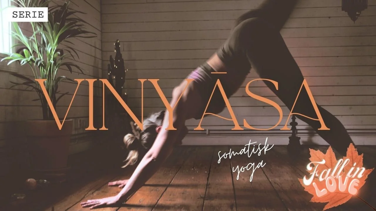 Vinyasa