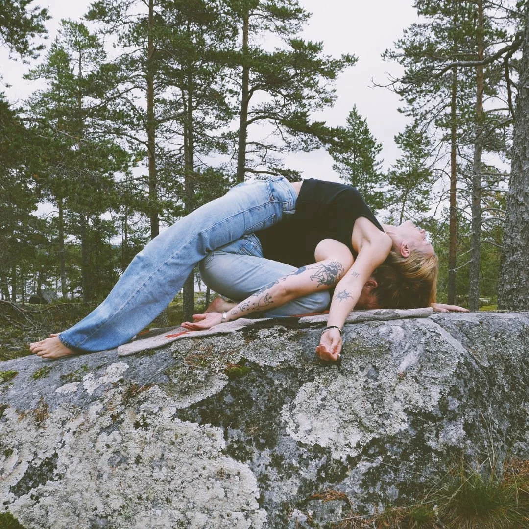 1a) Vilans syfte.jpg