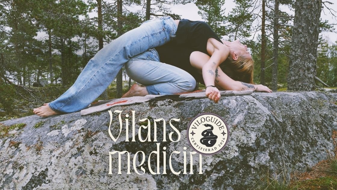 Vilans Medicin (utbildning)