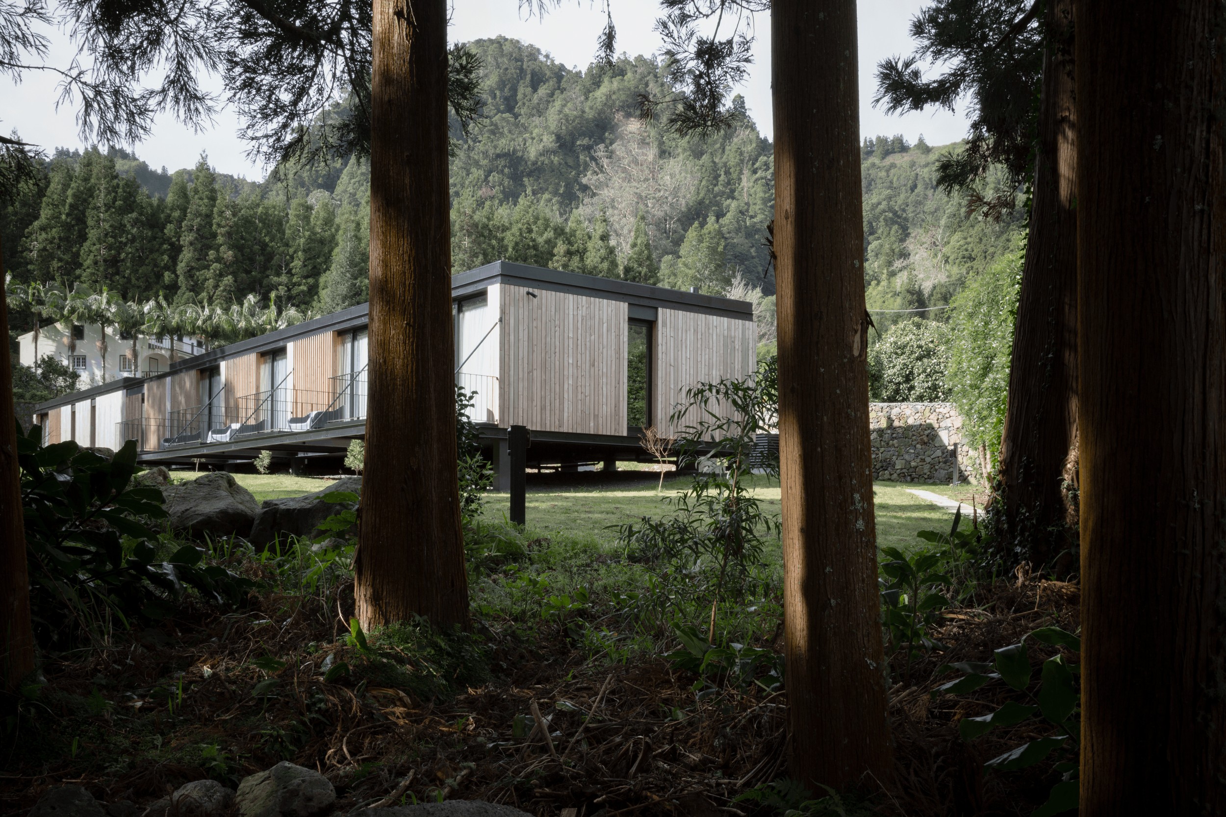 TUR LANDESCAPE FURNAS