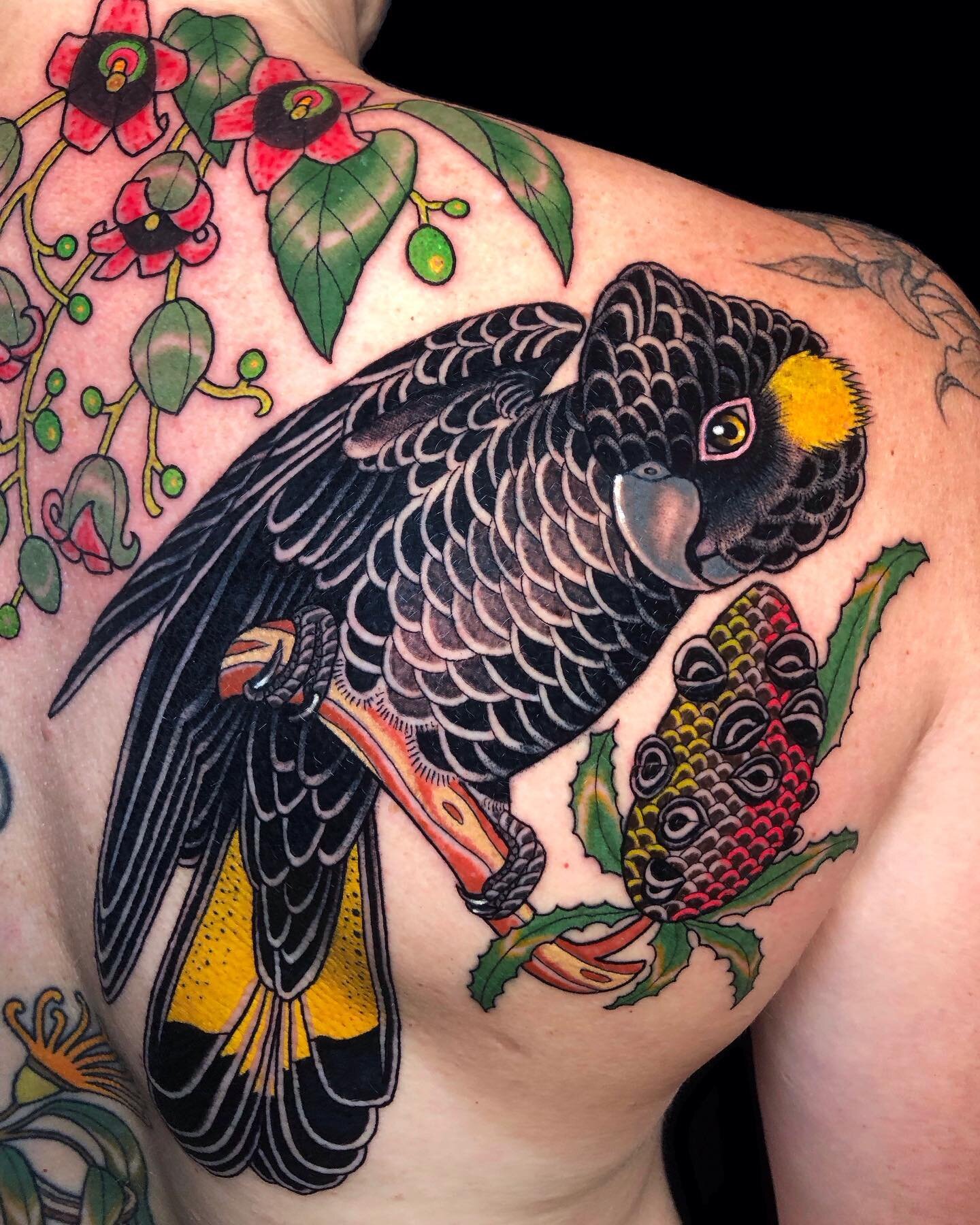 On the last stretch of our Australian trip! 🦜 Loved making this yellow tailed black cockatoo for Elizabeth a couple of weeks back @_littletokyo_  Adding to the existing bits from some years back. More to come!
Back to the U.K. next week and currentl