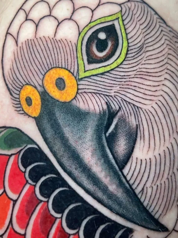 Earlier this week I had the great pleasure of tattooing @pazdera.Lukas first ever tattoo. He chose a Kea Parrot, a subject he is very familiar with as he works with them and various other parrots at the Zoo in Prague. 🦜🦜🦜
There was a slight langua
