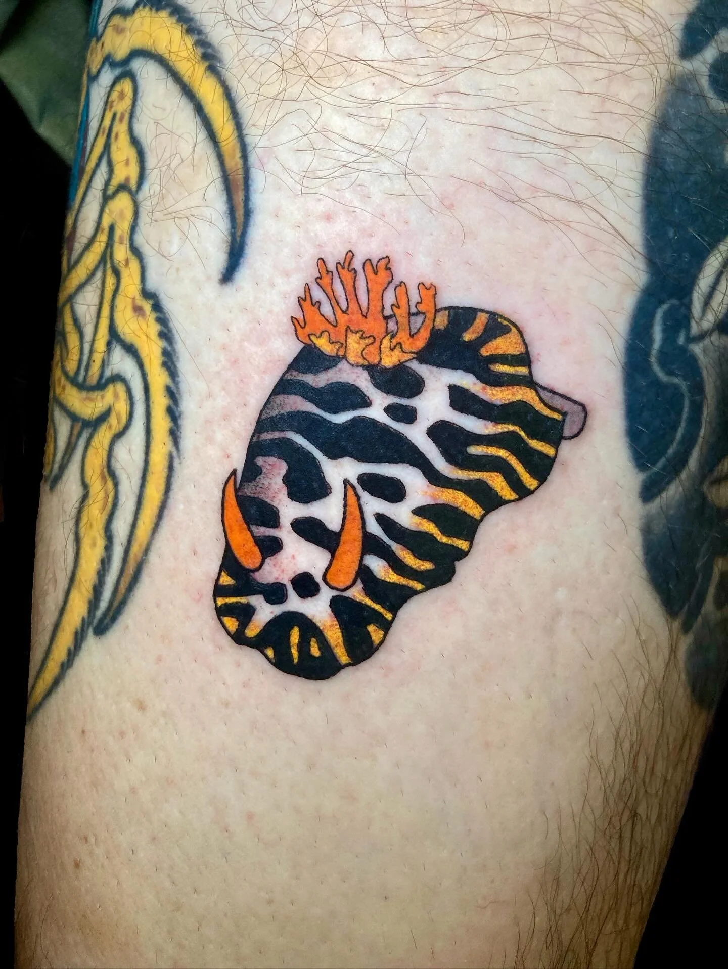 Little sea slug for Gareth. Thank you for the fun request! 🐌🌈 Great seeing you after all these years too 🦜🖤 
Done last weekend @magic.tattooing 

 

For info and booking please get in touch using the link in my bio 💌
&bull;
&bull;
&bull;
&bull;
