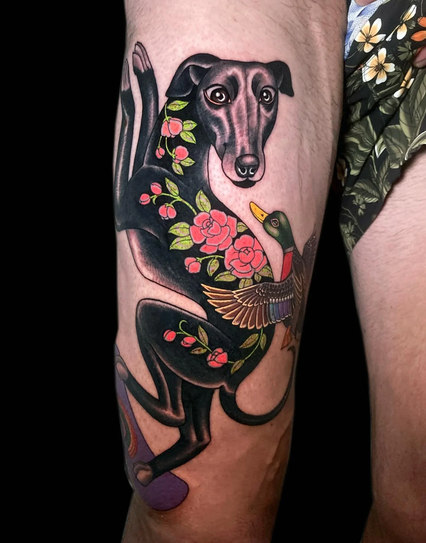 Skateboarding hound and duck for Chad 🛹 🦆 🖤 🌈 
Thanks for the fun request Chad, I can trust you to challenge me every time! Always great catching up ❤️ 
Done @thankstattoosydney 🌞

For info and booking please get in touch using the link in my bi