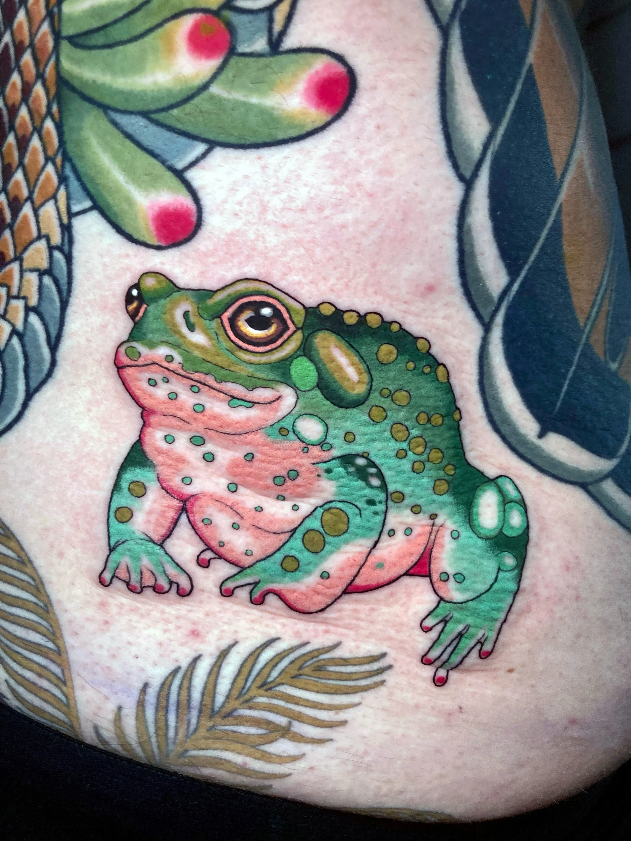 Cute frog for Mark 🐸 making itself at home among some of the larger scale work we&rsquo;ve done over the years. 🦅 🐍 @magic.tattooing ✨

I&rsquo;ve been tattooing Mark consistently since 2020, right at the doors of the unknown 🪐 Whilst we&rsquo;ve
