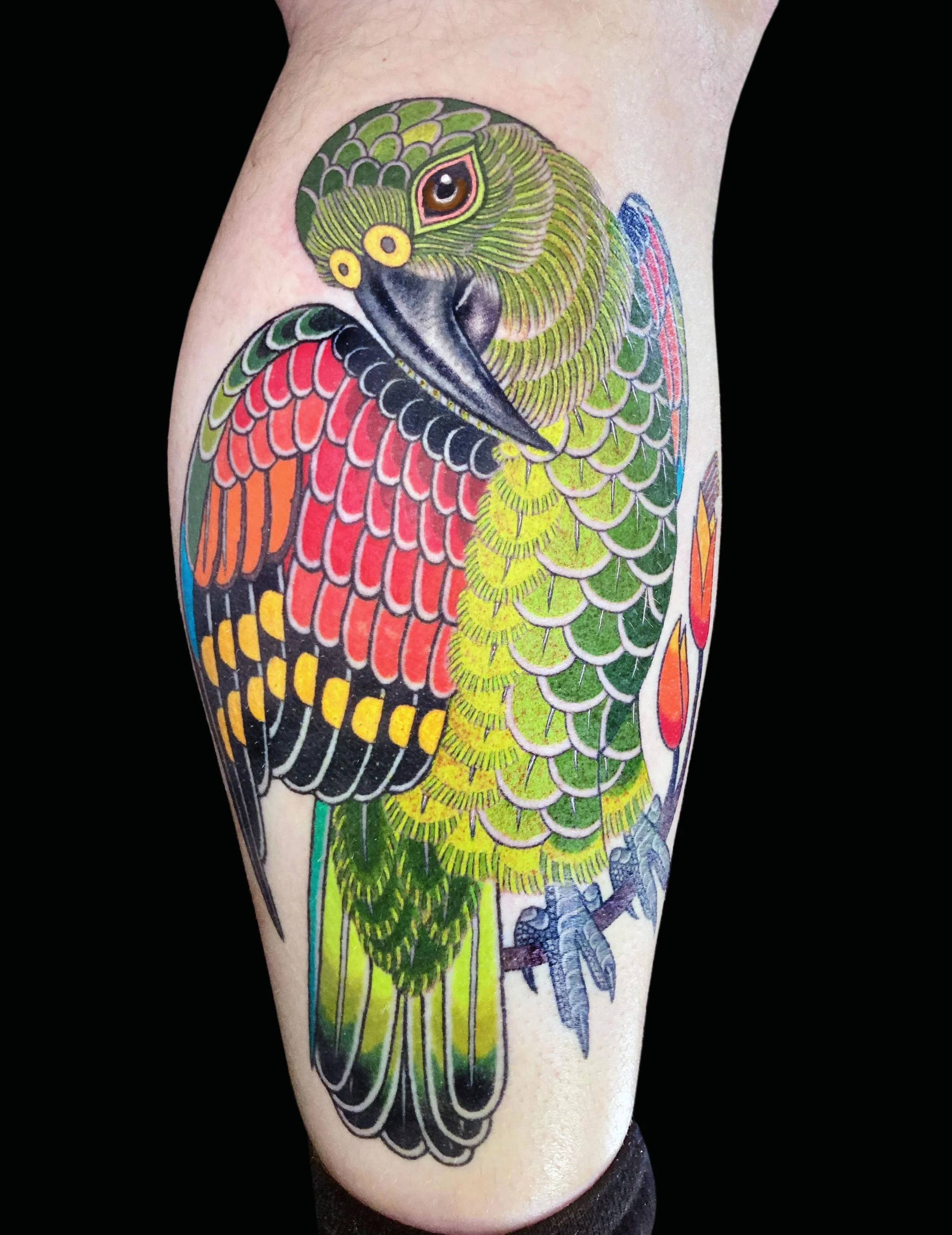 Got to finish Lukas&rsquo; @pazdera.lukas kea parrot yesterday at @magic.tattooing✨

Lukas is an ornithologist currently working at the Zoo in Prague with his favourite birds the Kea Parrots, originally from New Zealand. Swipe for the picture he sent