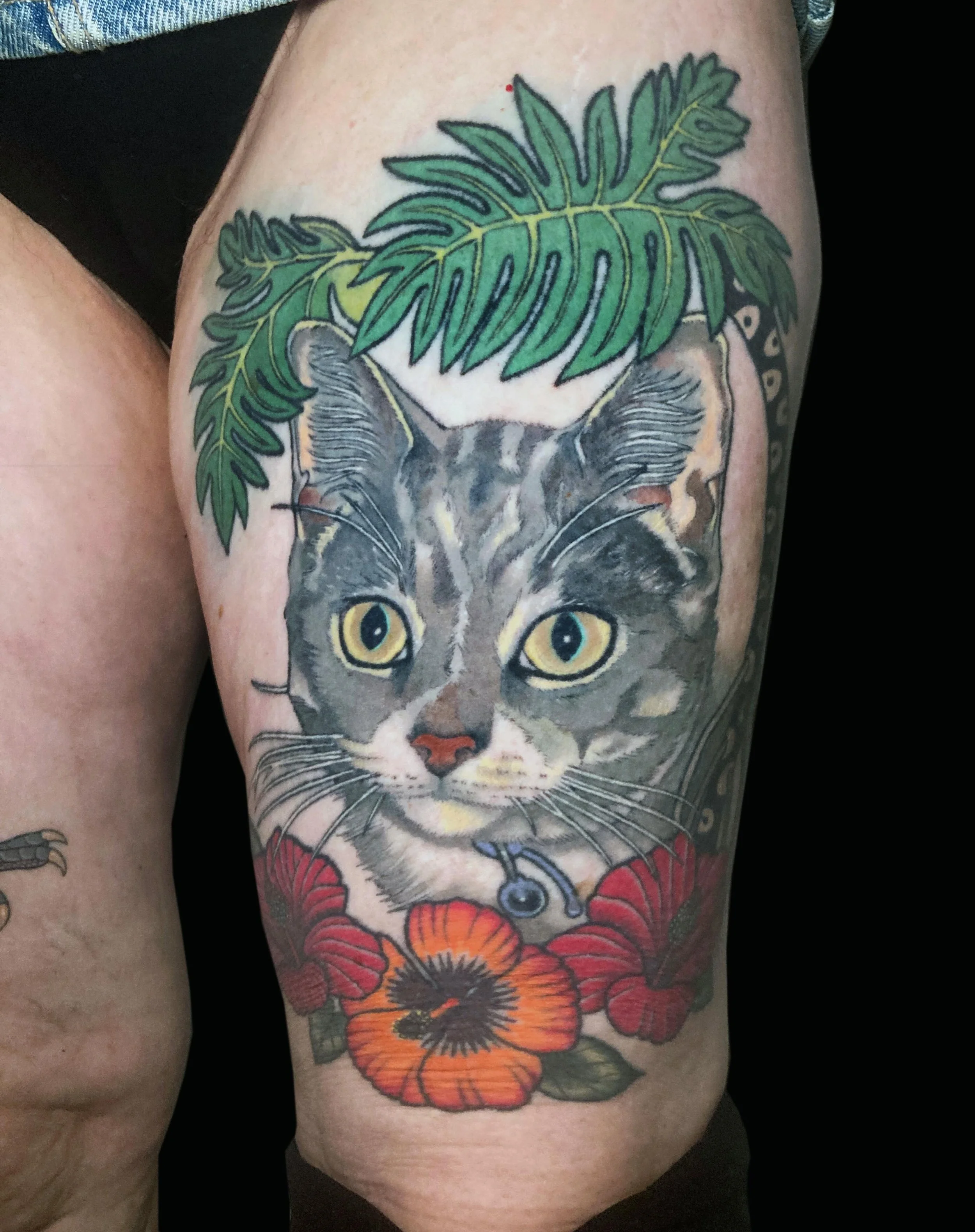 Seven years healed and settled Bruiser on Carol 🐈&zwj;⬛ 🌺💚 
Before being known for bird tattoos, cats were top on the request list. Reason I got my specialist visa approved in Australia for several years in fact. I still love tattooing them so muc