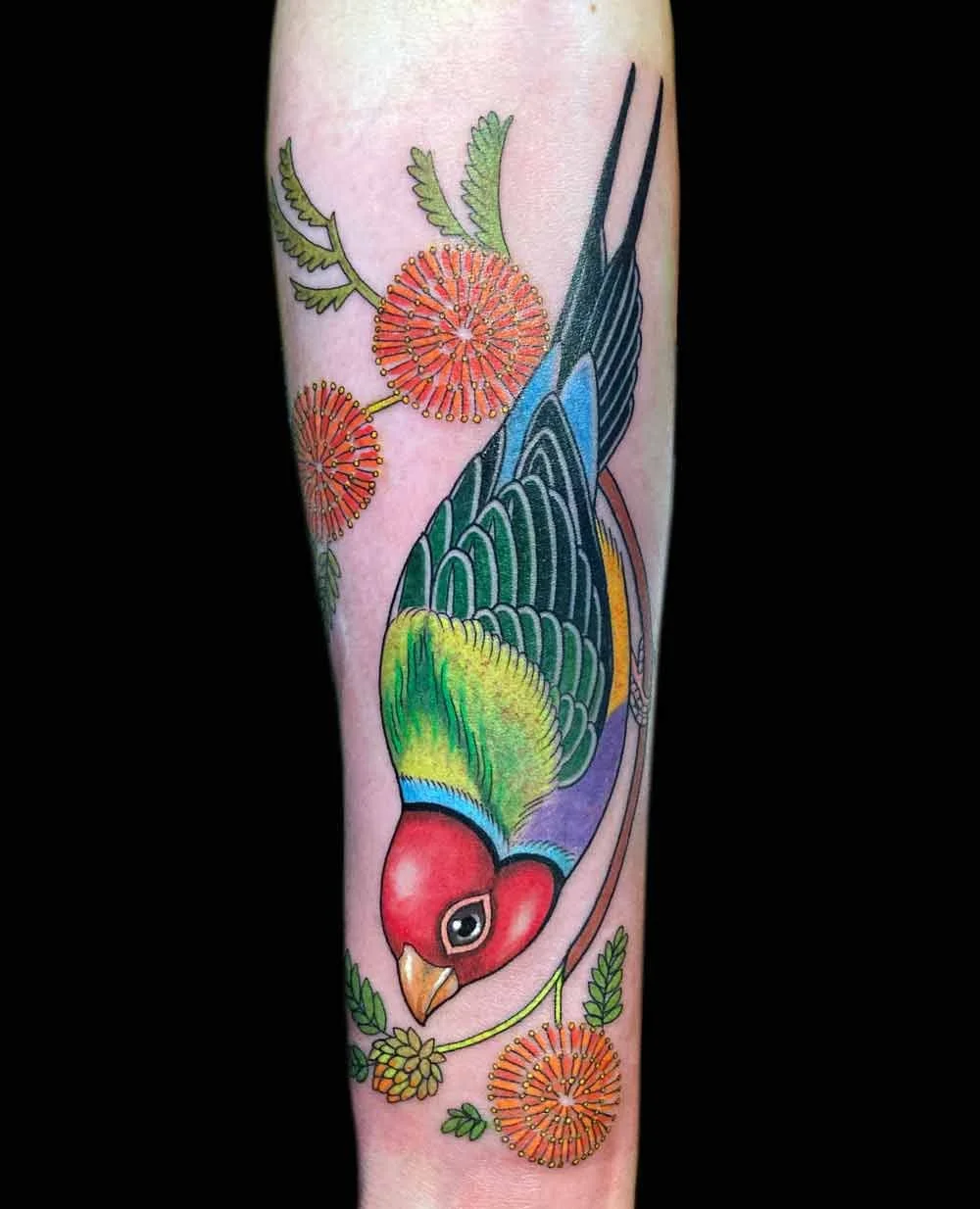 Bright bold delicate neotraditional realistic colourful tattoo of a gouldian finch bird on a womans forearm 