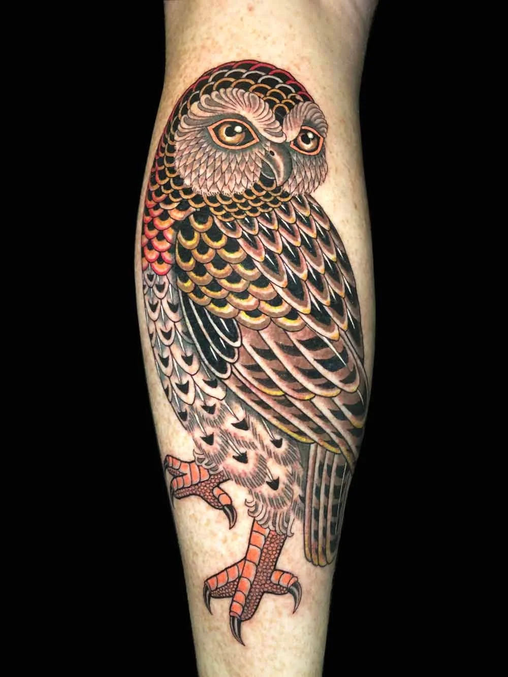 Neo traditional colourful realistic back piece tattoo of an owl on a man's calf