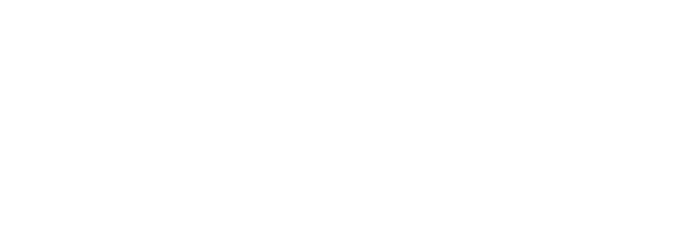 Lanka Experience