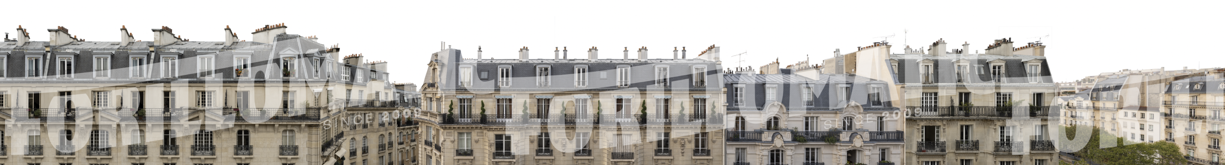 PARIS BOHEMIO