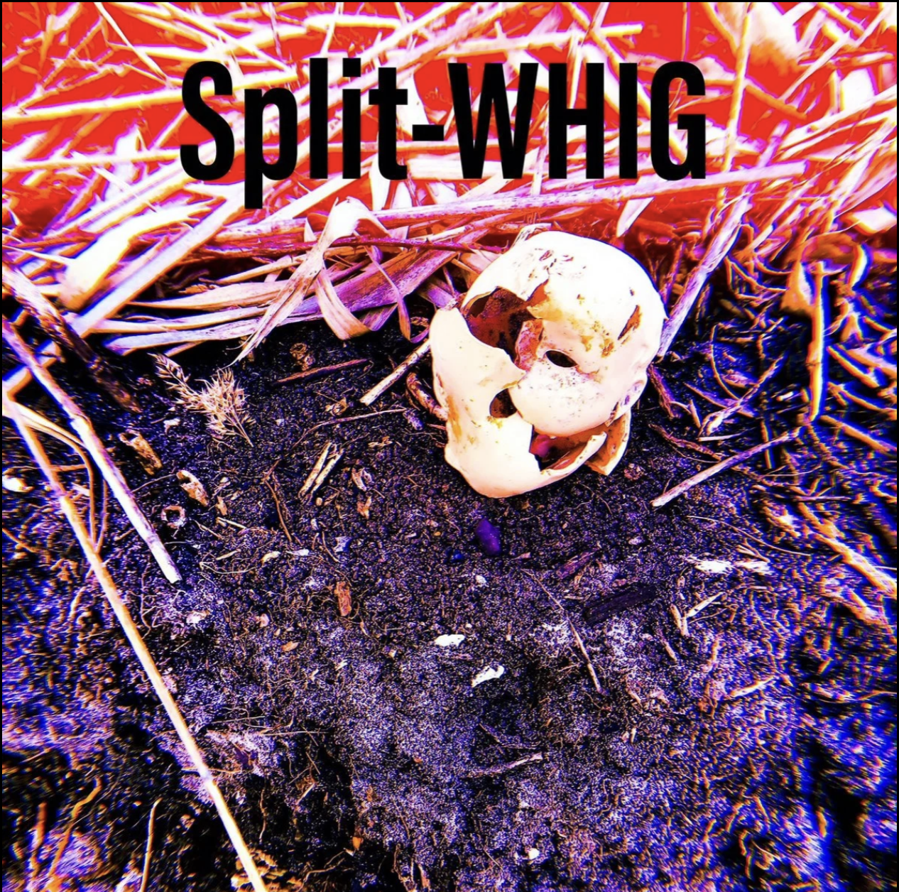 SPLIT WHIG EP, Acid On Toast Records (2018)