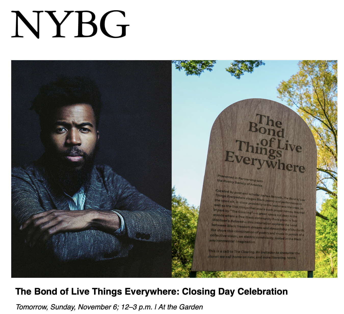 Bond of Live Things Everywhere