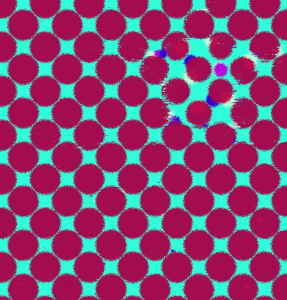 Amorous Ontology Single ART.jpg