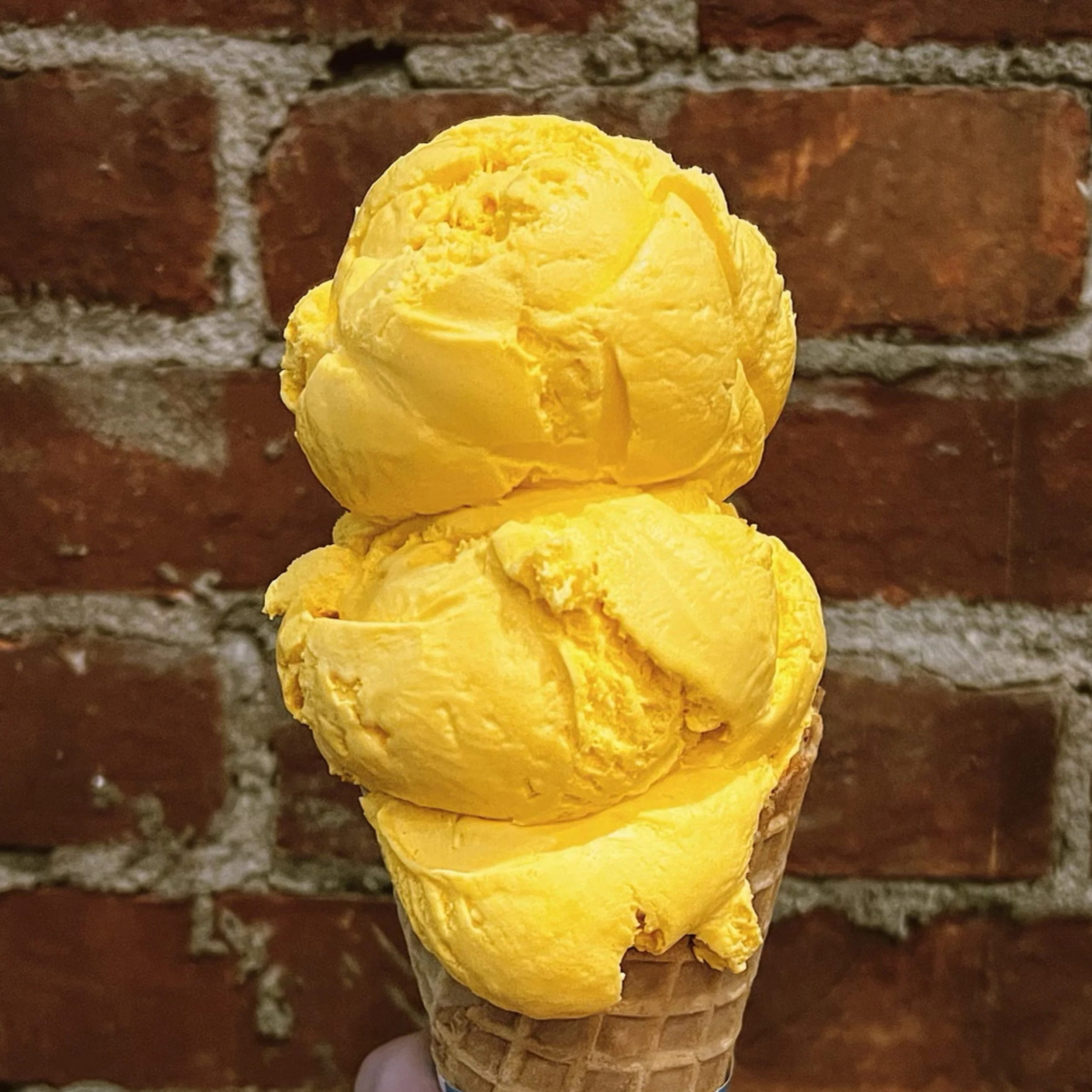 Menu 1 — Lake Effect Ice Cream