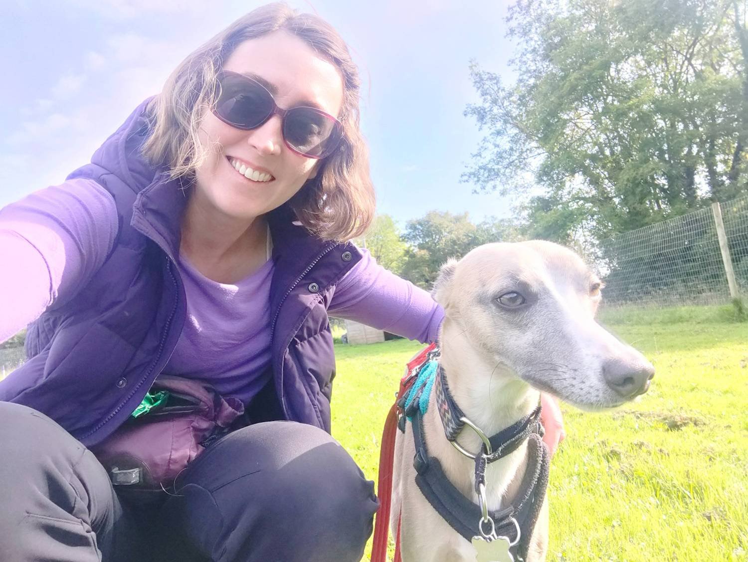 No more dog walking... and a business that finally feels right!