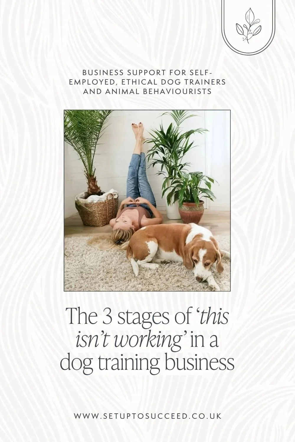 The 3 stages of ‘this isn’t working’ as self-employed dog trainer or animal behaviourist