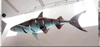 Shark 10ft long in an arts club in Covent Garden purchased by the late Paul Allen