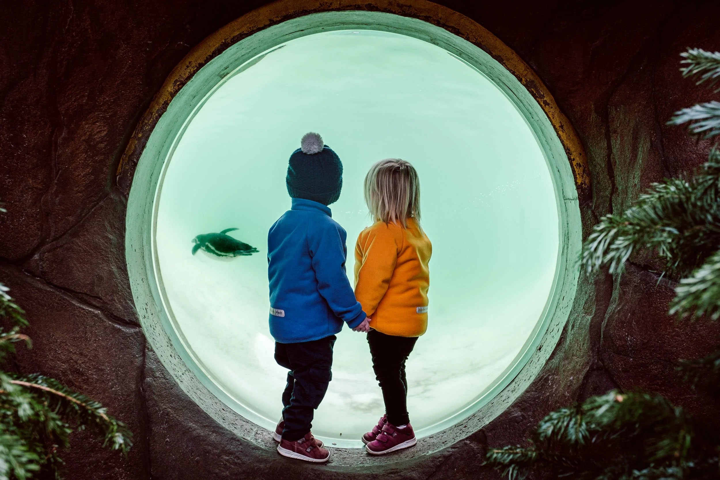Two children, a boy with a blue jacket and a girl with an orange jacket, holding hands and standing inside a circular viewing window with a water tank or aquarium scene, including a penguin visible in the background.