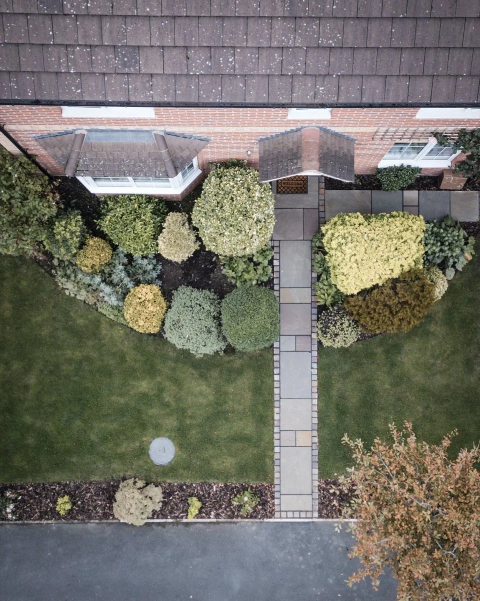 Neatly landscaped front garden with paved entrance pathway, mature shrubs and defined planting borders.