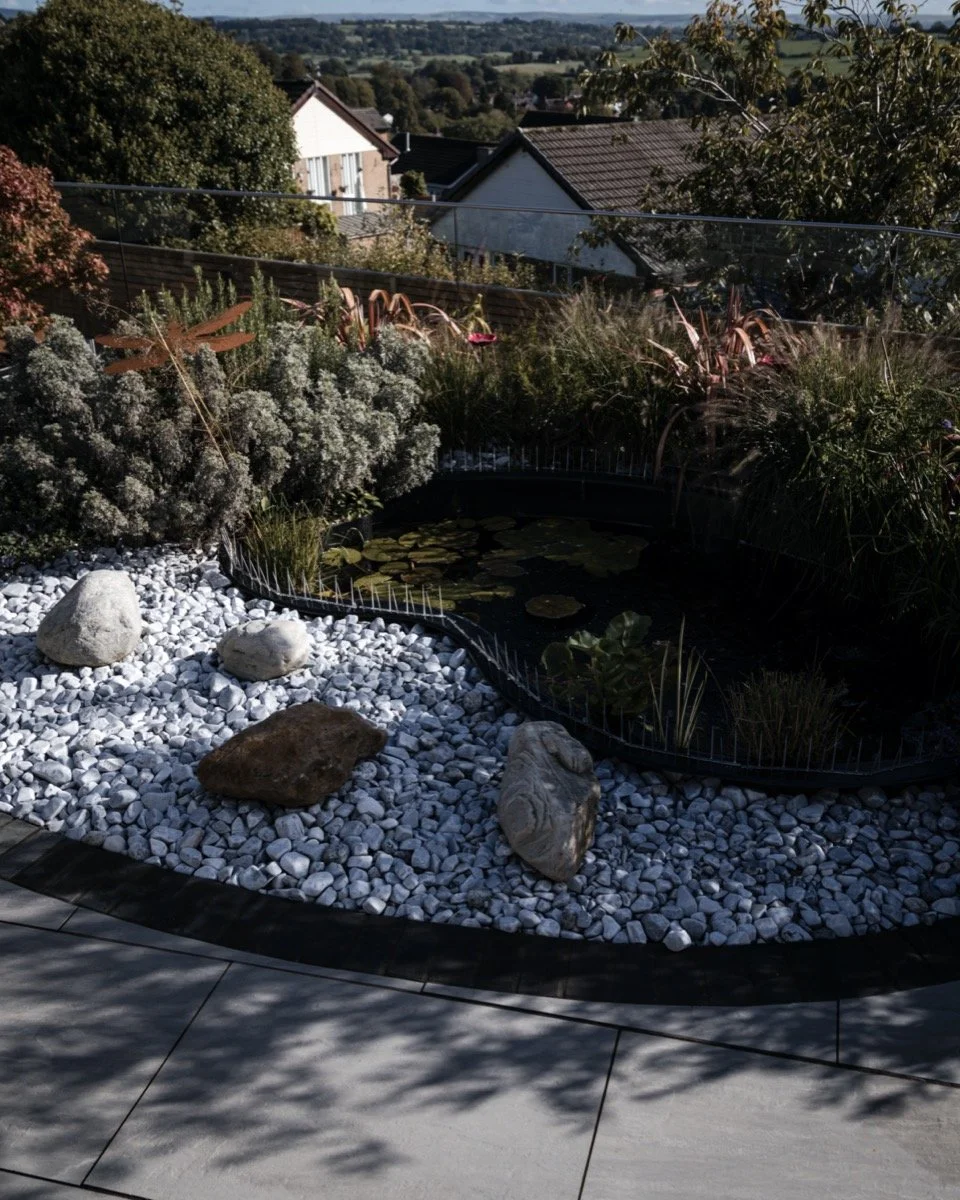 Modern landscaped garden with carefully considered finishing touches