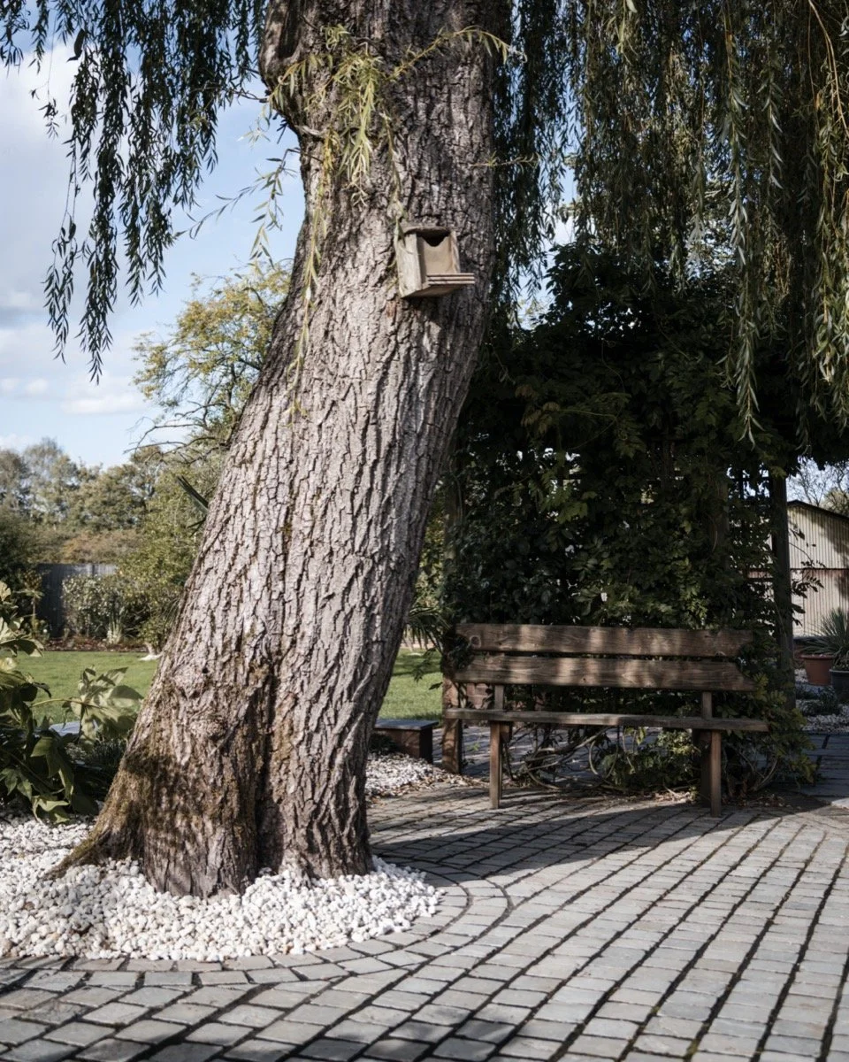 High quality professional landscaping garden example with tree