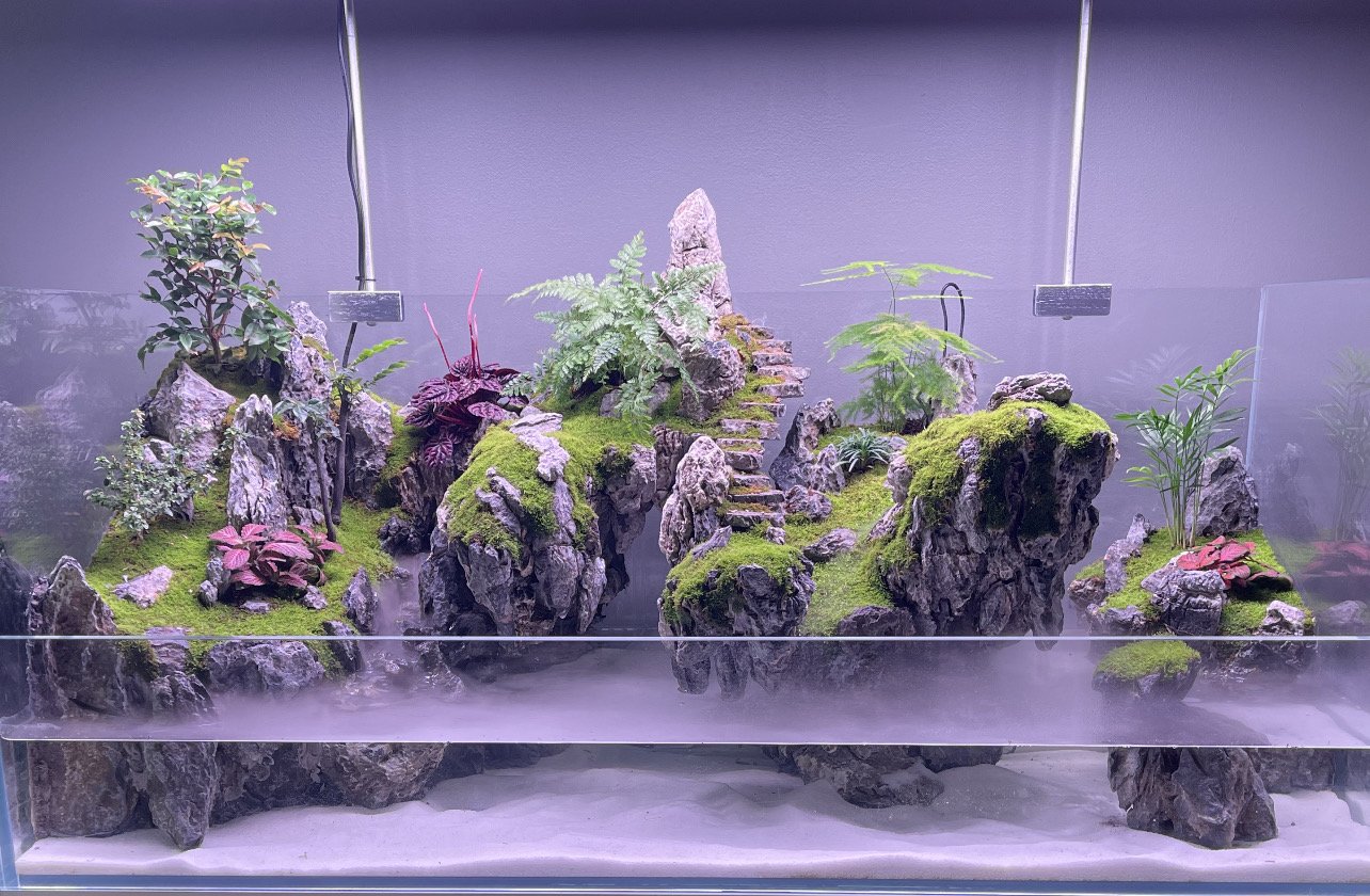 Gallery — The Peninsula Terrarium Inc.